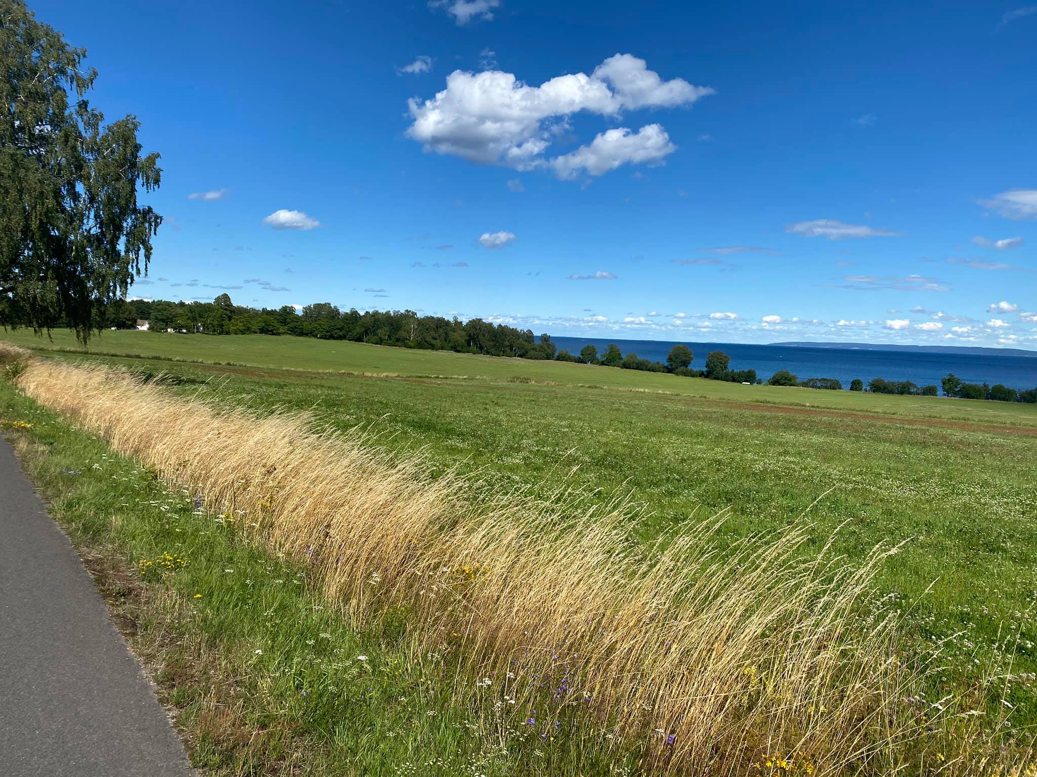 Landskap vid Vättern med öppen horisont och väg genom landskapet